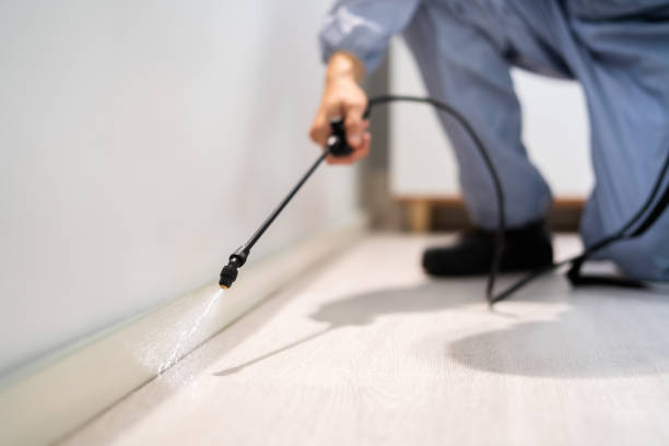 Licensed Termite Control service in Lacombe, LA - Nex Pest Control
