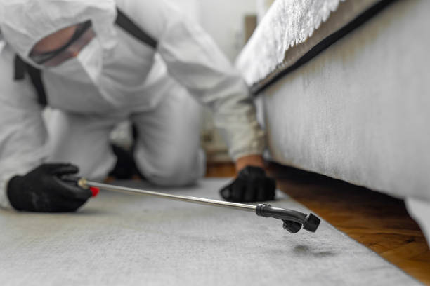 Professional Termite Control technician working in Lacombe, LA
