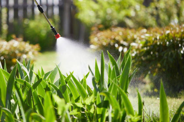24/7 Emergency Termite Control experts in Lacombe, LA