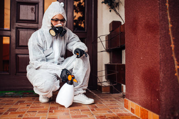 Reliable Termite Control contractor in Lacombe, LA by Nex Pest Control