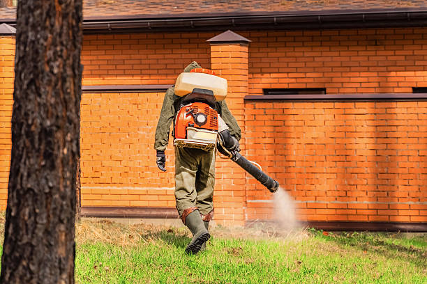 Top rated local Termite Control specialists in Lacombe, LA